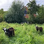 Lejlighedshotel Het Nest 4*