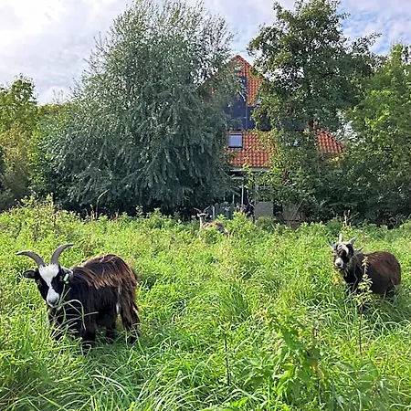 Het Nest Aparthotel 4*