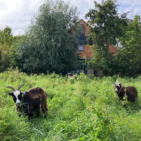 Appart hôtel Het Nest 4*
