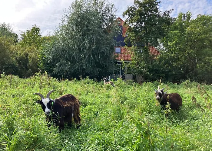 Aparthotel Het Nest 4*